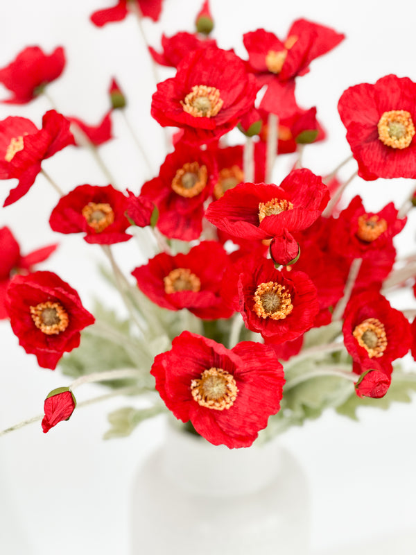 Poppy Collection