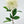White Real Touch Large Dahlia | Extremely Realistic Luxury Quality Artificial Flower | Wedding/Home Decoration | Gifts | Decor Floral D-002