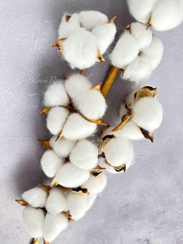 1 Dried Real Cotton Branch 30&quot; Long 10 Cotton Balls, Branches Cotton Natural Rustic Wedding Decor Centerpiece Floral Flowers Artificial