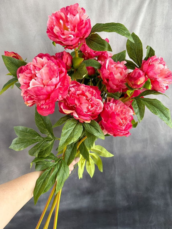 3-Head Hot Pink Peony Silk Stem Realistic Luxury Quality Artificial Kitchen/Wedding/Home Decor | Gift French Floral Flowers Cozy Decor P-017