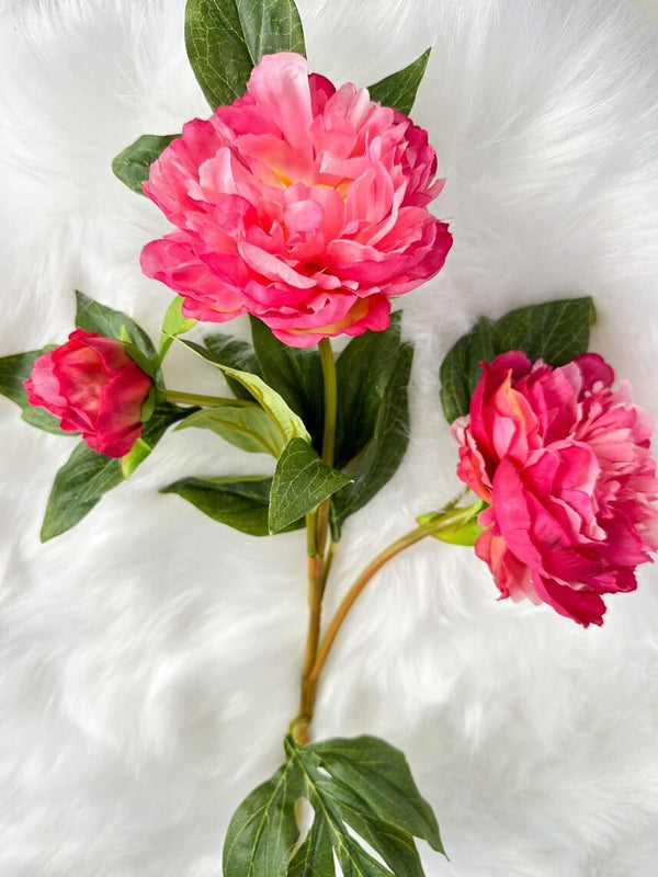 3-Head Hot Pink Peony Silk Stem Realistic Luxury Quality Artificial Kitchen/Wedding/Home Decor | Gift French Floral Flowers Cozy Decor P-017