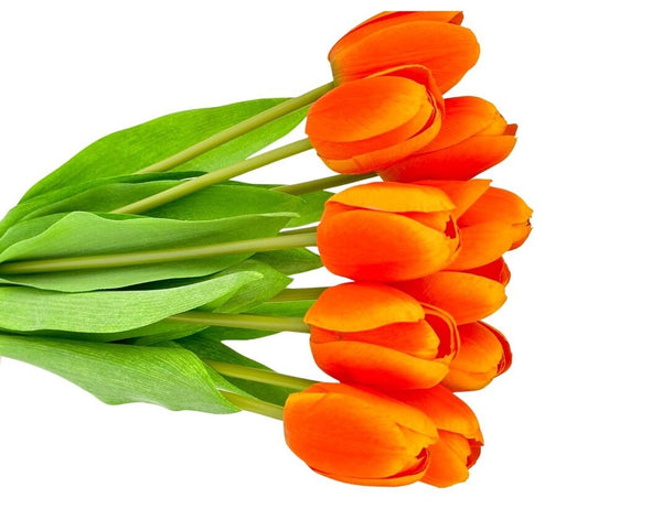 10 Stems Real Touch Tulips Stems, Artificial Flower High Quality Faux Floral, Wedding/Home Gifts Decor Floral Craft Tulip - Orange T-001