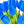 10 Blue Real Touch Tulips Artificial Flower, Realistic Luxury Quality Artificial Kitchen/Wedding/Home Gifts Decor Floral Craft Floral