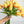 10 Yellow/Oran Real Touch Tulips Artificial Flower, Realistic Luxury Quality Artificial Kitchen/Wedding/Home Gifts Decor Floral Craft Floral