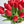 10 Red Real Touch Tulips Artificial Flower, Realistic Luxury Quality Artificial Kitchen/Wedding/Home Gifts Decor Floral Craft Floral