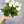 Real Touch Rose Bud Stem | 23" Tall Latex Luxury Quality Artificial Flower | Wedding/Home Decoration | Gifts Floral Faux Bouquet White R-031