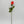 Real Touch Rose Bud Stem | 23" Tall Latex Luxury Quality Artificial Flower | Wedding/Home Decoration | Gifts Floral Faux Bouquet Coral R-032
