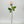 Real Touch Rose Bud Stem 23" Tall Latex Luxury Quality Artificial Flower Wedding/Home Decoration Gifts Floral Faux Bouquet Light Pink R-034