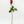 Real Touch Rose Bud Stem | 23" Tall Latex Luxury Quality Artificial Flower | Wedding/Home Decoration | Gifts Floral Faux Bouquet Red R-035