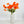 Orange Tangerine Poppy Stem | 23" Tall Luxury Quality Artificial Flower | Wedding/Home Decoration | Gifts Decor | Floral Faux Floral