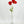 Dark Red Poppy Stem | 23" Tall Luxury Quality Artificial Flower | Wedding/Home Decoration | Gifts Decor | Floral Faux Floral