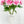 Pink/White Ombré Peony Stem |Extremely Realistic High-Quality Artificial Kitchen/Wedding/Home Decoration Gift French Floral Flower Bouquet
