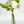 Green & White Rose Hydrangea Green Berry Bouquet Artificial Flower Wedding/Home Decoration | Gifts | Decor Floral, Centerpiece, Arrangement