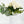 Real Touch White English Rose | 23" Tall Luxury Quality Artificial Flower | Wedding/Home Decoration | Gifts Decor | Floral Faux Floral R-039