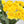 19" Yellow Carnation Silk Flower Stem Faux Flower Floral Centerpiece Accessories Wedding Home Kitchen Hotel Party Decoration DIY