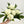 4 Stem Real Touch Long Leaf Berry Eucalyptus Green Realistic Quality Artificial Floral Craft Kitchen Wedding Home Decoration Gifts Decor