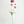 Cerise Poppy Stem | 23" Tall High Quality Artificial Flower | Wedding/Home Decoration | Gifts Decor | Floral Faux Floral, Poppy Stem