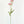 Bubblegum Pink Poppy Stem | 23" Tall High Quality Artificial Flower | Wedding/Home Decoration | Gifts Decor | Floral Faux Floral, Poppy