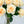 Yellow Real Touch Rose Stem 17" Tall Latex Luxury Quality Artificial Flower Wedding/Home Decoration | Gifts Decor | Floral Color Faux R-020