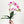18” Pink Ombre Orchid Stem Artificial Flowers, Faux Fake Floral Branches, Real Touch Orchid Realistic Home Wedding Kitchen Decor Spring