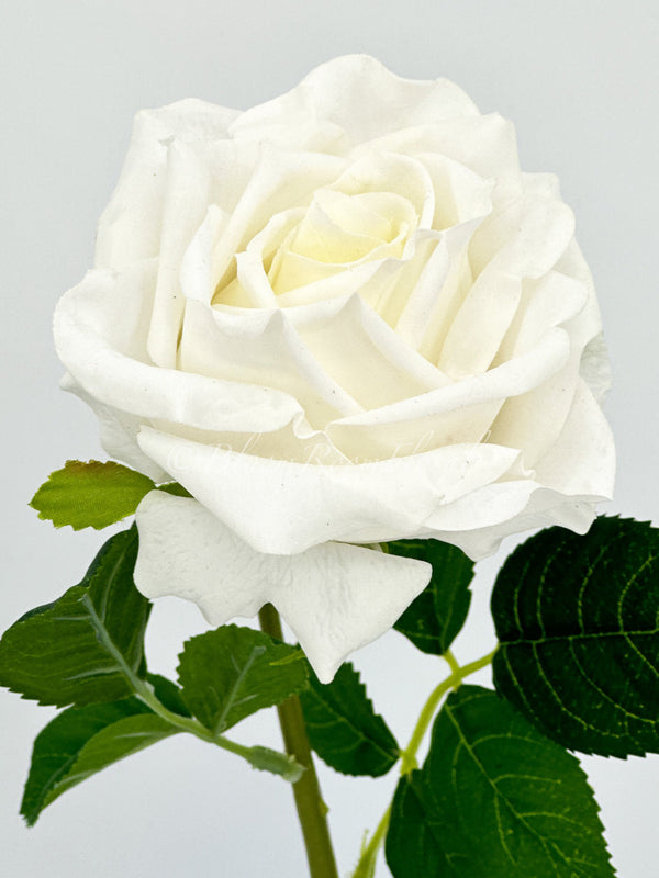 White Real Touch Rose Stem 17&quot; Tall Latex Luxury Quality Artificial Flower Wedding/Home Decoration | Gifts Decor | Floral Color Faux R-022