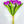 6 Purple Real Touch Tulips Artificial Flower, Realistic Luxury Quality Artificial Kitchen/Wedding/Home Gifts Decor Floral Craft DIY