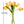 6 Stems Orange Real Touch Tulips 10" Artificial Flower Realistic High-Quality Artificial Kitchen/Wedding/Home Gifts Decor Floral Craft T-008