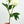 White Peony 2-Head Silk Stem Realistic Artificial Flower Kitchen/Wedding/Home Decoration | Gifts Birthday Crafting Floral Flowers Cozy P-007