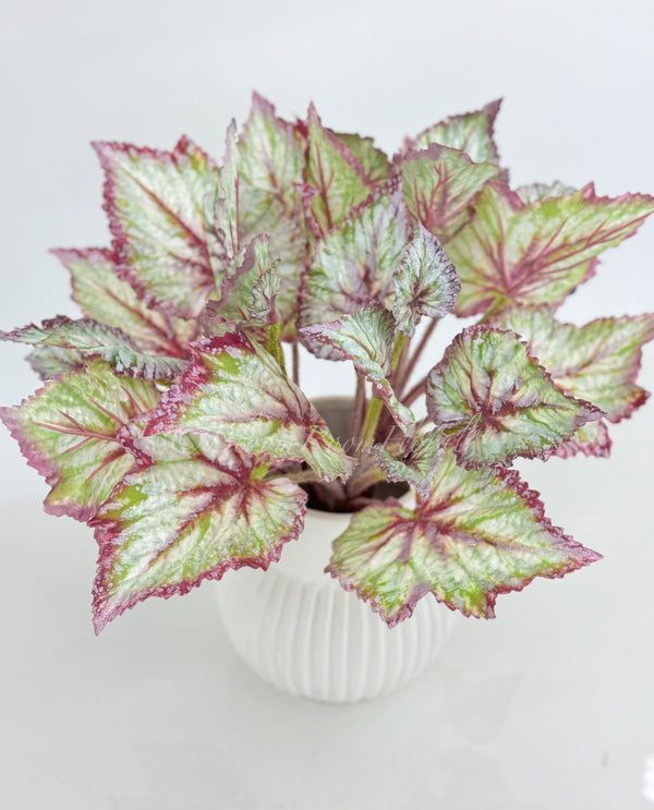 Artificial Begonia Leaves Faux Flowers 14&quot; Floral Centerpiece Wedding Home/Kitchen Hotel Party Decoration DIY/ Begonia/ Spring Flowers M-001
