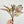 Artificial Begonia Leaves Faux Flowers 14" Floral Centerpiece Wedding Home/Kitchen Hotel Party Decoration DIY/ Begonia/ Spring Flowers M-001