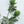 26" Faux Green Thistle Stem, Artificial Flower High-Quality Artificial Floral Craft Kitchen Wedding Home Decoration Gifts Decor Floral G-003