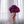 Faux Succulent, Real Touch, ONE Artificial Sedum Succulent Pick in  Succulent, Faux Artificial Flowers, Wedding/Home/Decor Gift Purple S-001
