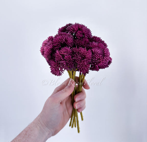 Faux Succulent, Real Touch, ONE Artificial Sedum Succulent Pick in  Succulent, Faux Artificial Flowers, Wedding/Home/Decor Gift Purple S-001