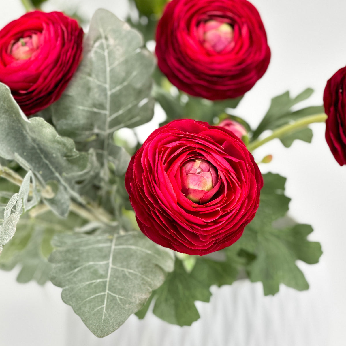 Ranunculus Collection – BlumeBloom