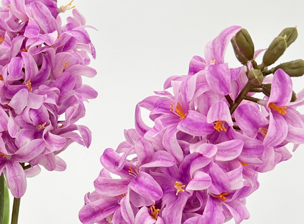 Hyacinth/Anemone/Freesia