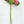 Pink Real Touch Large Hydrangea | Extremely Realistic Luxury Quality Artificial Flower | Wedding/Home Decoration | Gifts Decor Floral H-008