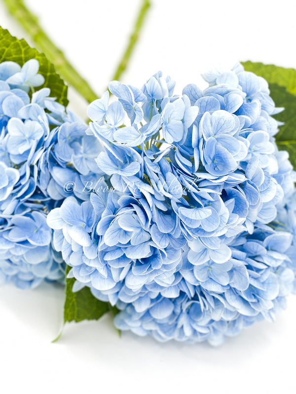Blue Real Touch Large Hydrangea | Extremely Realistic Luxury Quality Artificial Flower | Wedding/Home Decoration Gift Decor Floral H-001
