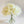 5 Stem Real Touch Roses | Extremely Realistic Luxury Quality Artificial Flower | Wedding/Home Decoration | Gifts | Decor Floral White R-008