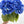 Deep Blue Real Touch Large Hydrangea | Extremely Realistic Luxury Quality Artificial Flower Wedding/Home Decoration Gift Decor Floral H-010