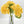 Yellow Real Touch Large Hydrangea | Extremely Realistic Luxury Quality Artificial Flower | Wedding/Home Decoration Gift Decor Floral H-004