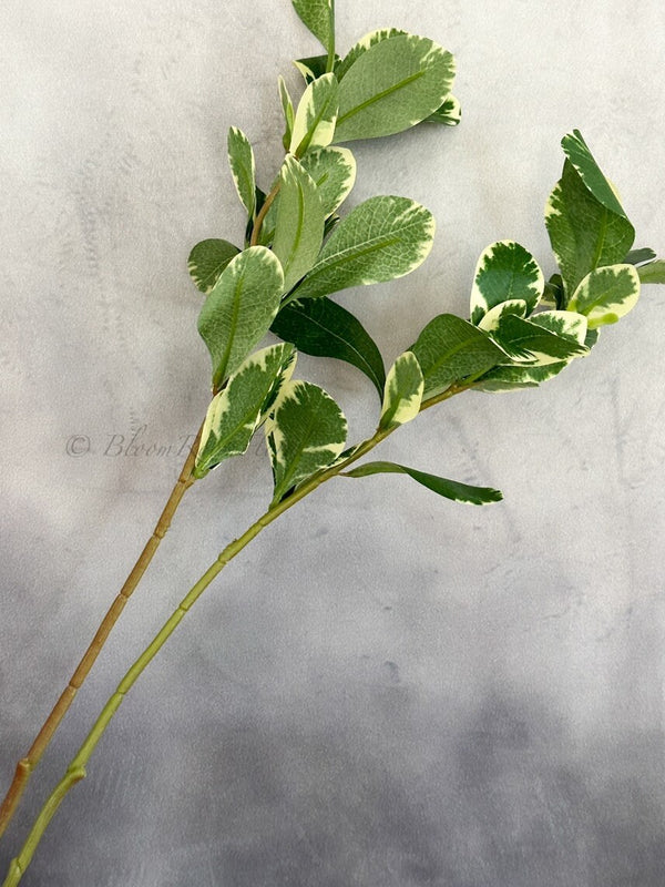 Tall Pittosporum Green Leaf 20” Stem Artificial Flower Realistic Quality Artificial Floral Craft Kitchen Wedding Home Decor Gifts G-001