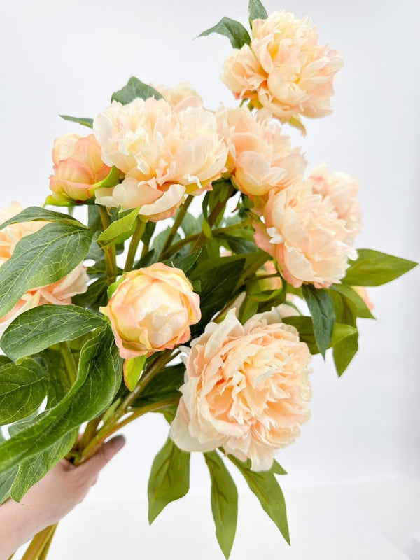 3-Head Peach Peony Silk Stem Realistic Luxury Quality Artificial Kitchen/Wedding/Home Decor | Gifts French Floral Flowers Cozy Decor P-019