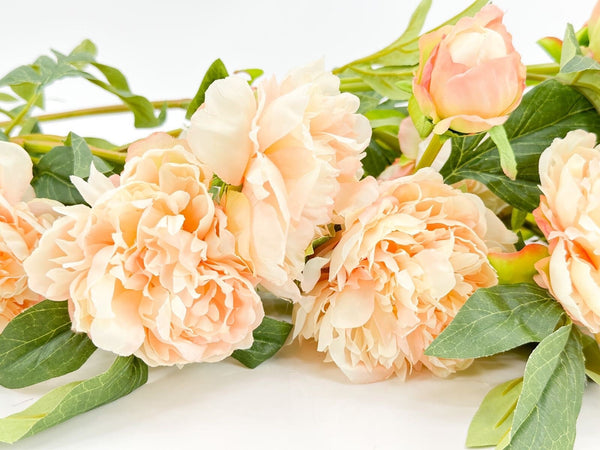 3-Head Peach Peony Silk Stem Realistic Luxury Quality Artificial Kitchen/Wedding/Home Decor | Gifts French Floral Flowers Cozy Decor P-019