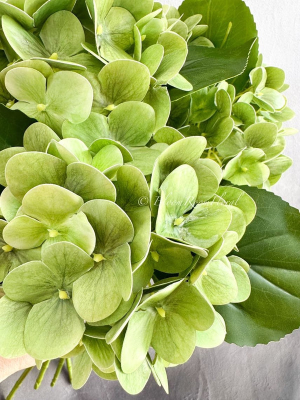 Green Real Touch Hydrangea | Extremely Realistic Luxury Quality Artificial Flower | Wedding/Home Decoration | Gifts | Decor Floral H-021