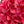 1 Red Real Touch Large Hydrangea | Extremely Realistic Luxury Quality Artificial Flower | Wedding/Home Decoration Gifts | Decor Floral H-009