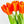 10 Stems Real Touch Tulips Stems, Artificial Flower High Quality Faux Floral, Wedding/Home Gifts Decor Floral Craft Tulip - Orange T-001