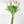 10 White Real Touch Tulips Artificial Flower, Realistic Luxury Quality Artificial Kitchen/Wedding/Home Gifts Decor Floral Craft Floral