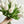 10 White Real Touch Tulips Artificial Flower, Realistic Luxury Quality Artificial Kitchen/Wedding/Home Gifts Decor Floral Craft Floral