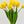 10 Stems Real Touch Tulips Stems, Artificial Flower High Quality Faux Floral, Wedding/Home Gifts Decor Floral Craft Tulip - Yellow T-004