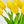 10 Stems Real Touch Tulips Stems, Artificial Flower High Quality Faux Floral, Wedding/Home Gifts Decor Floral Craft Tulip - Yellow T-004